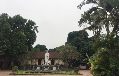 Duyên kỳ ngộ với cổ tự nghìn năm