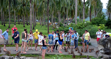 Đảo Khỉ Nha Trang: Độc đáo trong lòng du khách