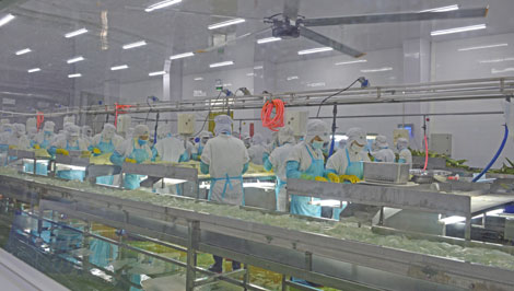 Đẩy mạnh thu hút đầu tư vào  các khu, cụm công nghiệp