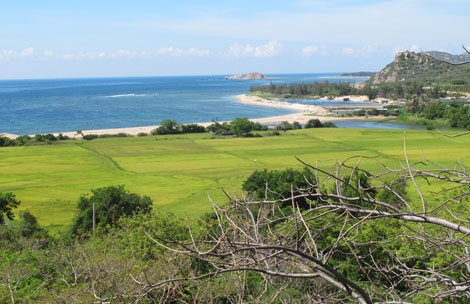 Bảo tồn và phát triển: Vườn quốc gia Núi Chúa bền vững