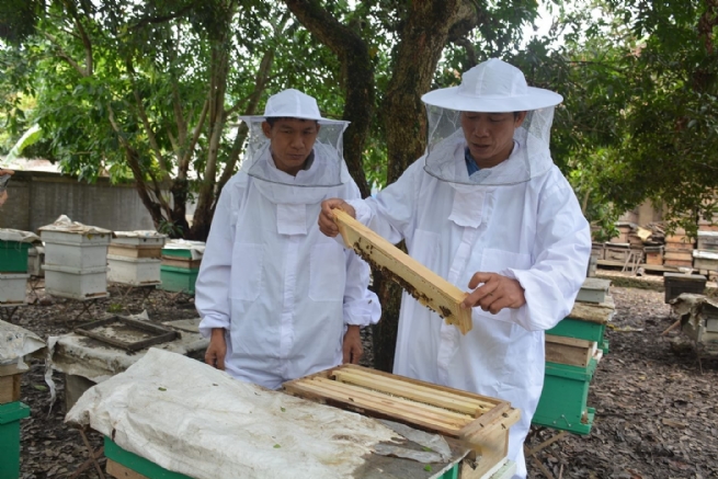 Hợp tác xã Ong Mật Điện Biên: Gắn kết truyền thống với hiện đại, kiến tạo thương hiệu từ mảnh đất biên cương