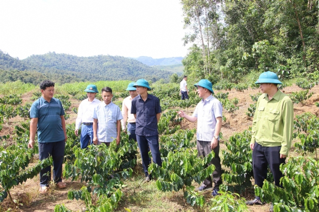 Búng Lao: Trung tâm trung chuyển, động lực phát triển mới của vùng