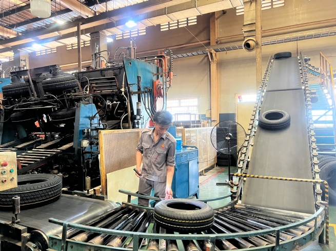Casumina: Tiếp tục chinh phục những mục tiêu lớn