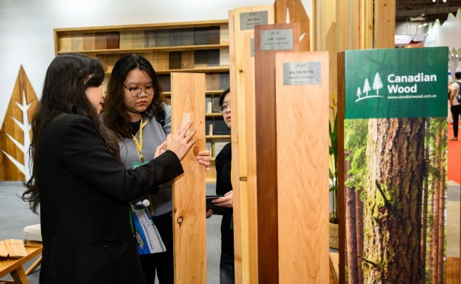 Canadian Wood Việt Nam giới thiệu giải pháp  gỗ mềm bền vững tại Triển lãm Vietnamwood 2025
