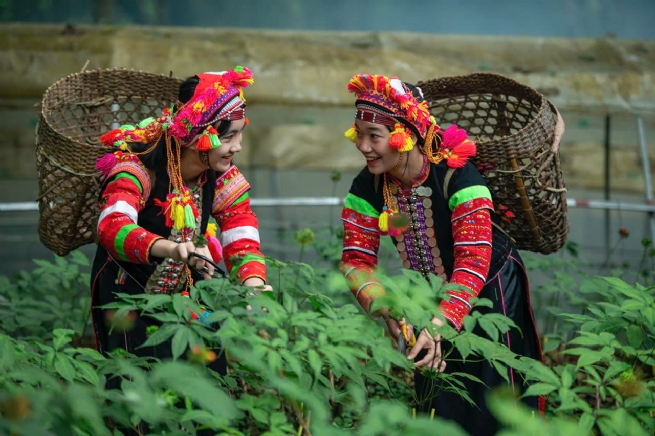 Kết nối tiêu thụ nông sản vùng cao tại Lai Châu