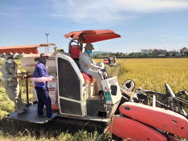 An Sơn: Mô hình dịch vụ nông nghiệp đa năng và bền vững