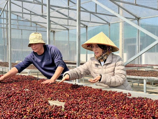 Xây dựng bản sắc Arabica Sơn La từ chiến lược bền vững của Detech Coffee