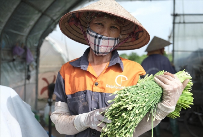 Duy trì các chuỗi nông sản an toàn, tạo dựng niềm tin cho người tiêu dùng