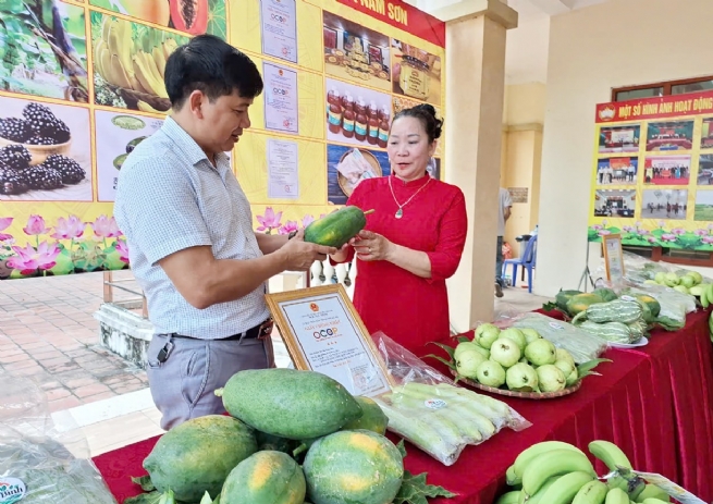 Sóc Sơn xây dựng nông thôn mới: Chú trọng phát triển nông nghiệp sạch