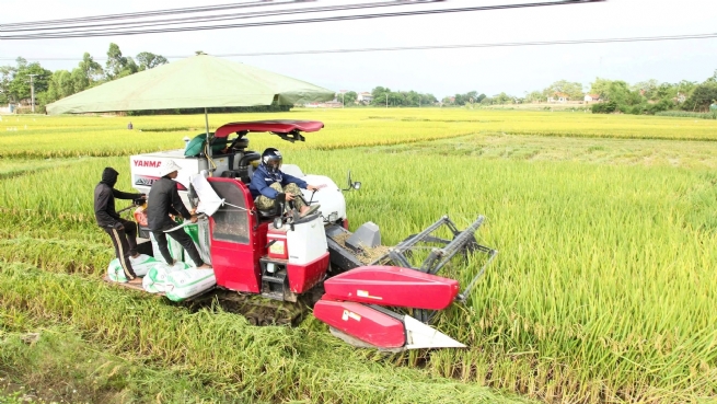 Từng bước khẳng định thương hiệu sản phẩm OCOP Hà Nội