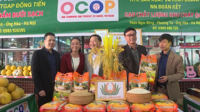 Tạo dựng thương hiệu từ vùng chuyên canh, gắn với phát triển sản phẩm OCOP