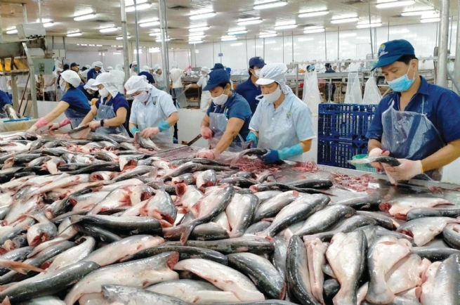 6 tháng đầu năm, xuất khẩu nông, lâm, thủy sản tăng hơn 15%