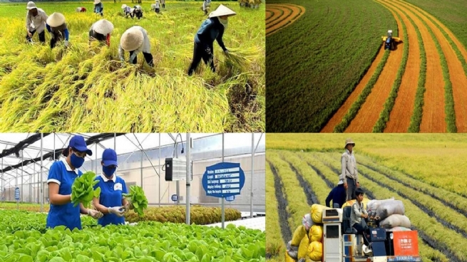 Kinh tế tuần hoàn trong nông nghiệp: Từ chủ chương đến hành động