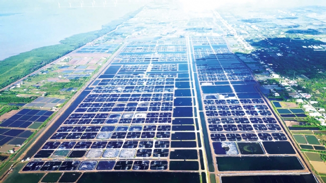 Thực phẩm Sao Ta và “quả ngọt” từ hành trình ba thập kỷ phát triển