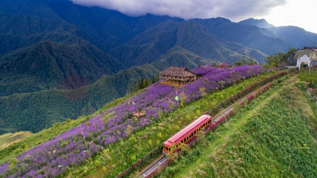 Du lịch Việt Nam: Tái định vị giá trị để bứt phá trong giai đoạn mới