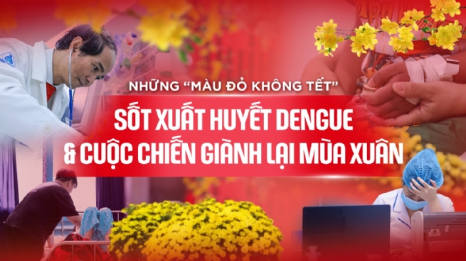 Những “màu đỏ không Tết” do Sốt xuất huyết Dengue và cuộc chiến giành lại mùa xuân