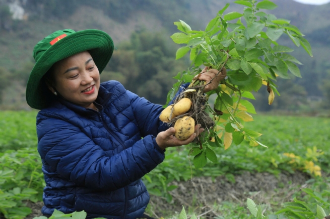 Văn Bàn: Từ tái sinh sản xuất đến hình thành hệ sinh thái nông nghiệp hàng hóa