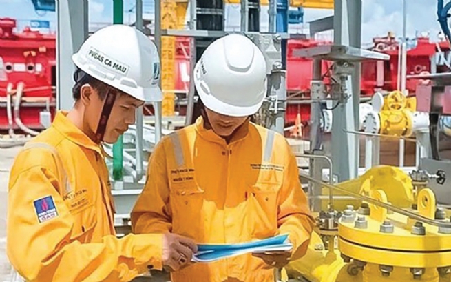 DNNN “hút” chất xám