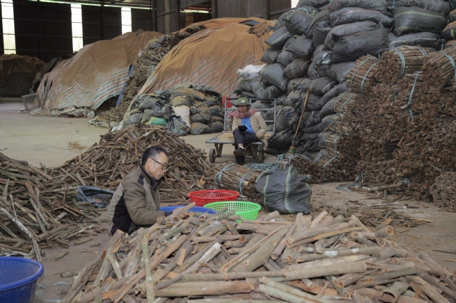 Mậu A: Từ xã trung tâm đến hạt nhân phát triển vùng