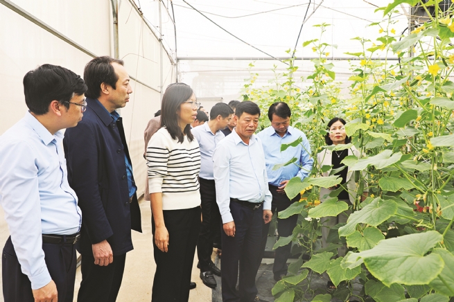 Hút dòng vốn FDI xanh