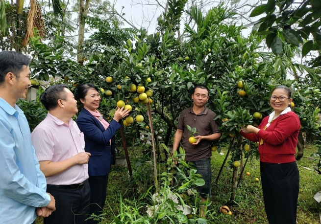 Xã Quy Mông: Từ vườn rừng đến nhà máy